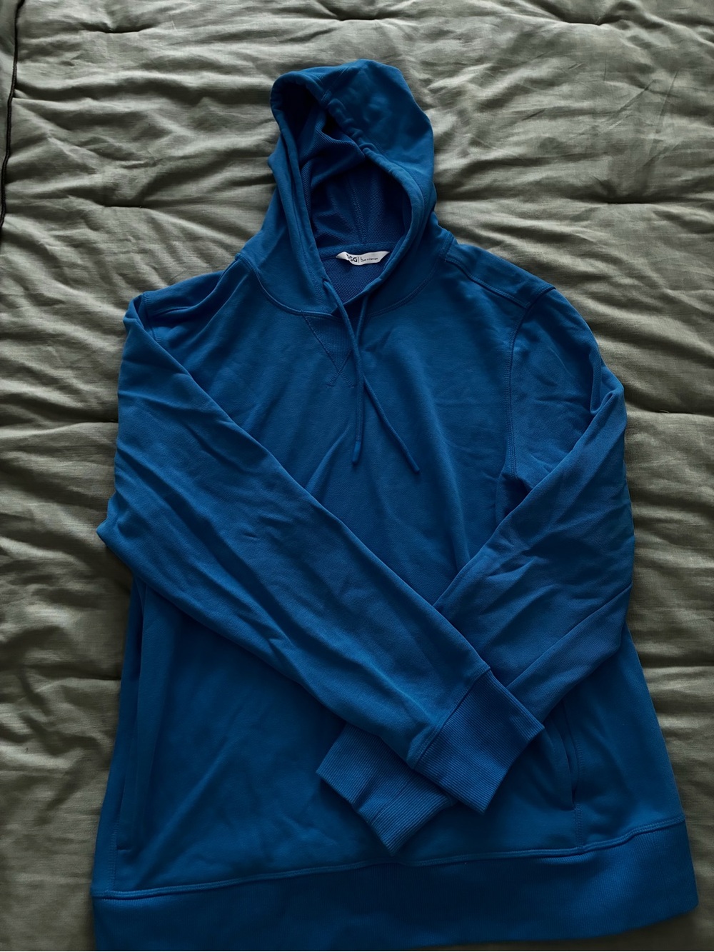 DSG Bright Blue Hooded Sweatshirt